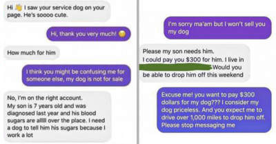 Woman Activates Her Inner Karen After Receiving Multiple No's While Attempting To Buy Someone Else's Service Dog