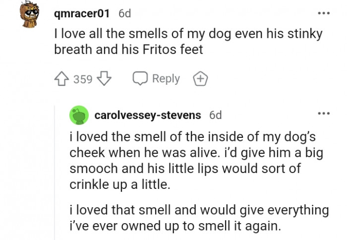3. The smell of the inside of my dog's cheek