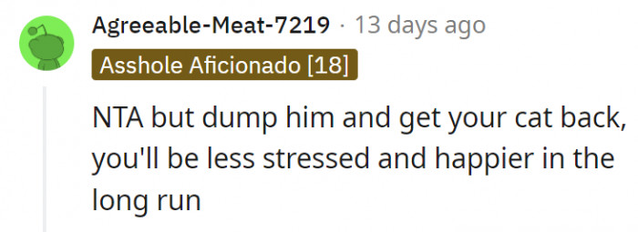 9. The cat would provide more happiness in her life