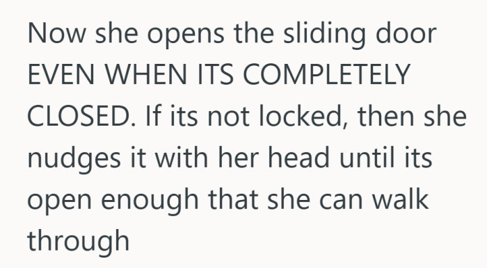 Cat owners kept reminding everyone that once a feline learns the trick, no door is truly closed.