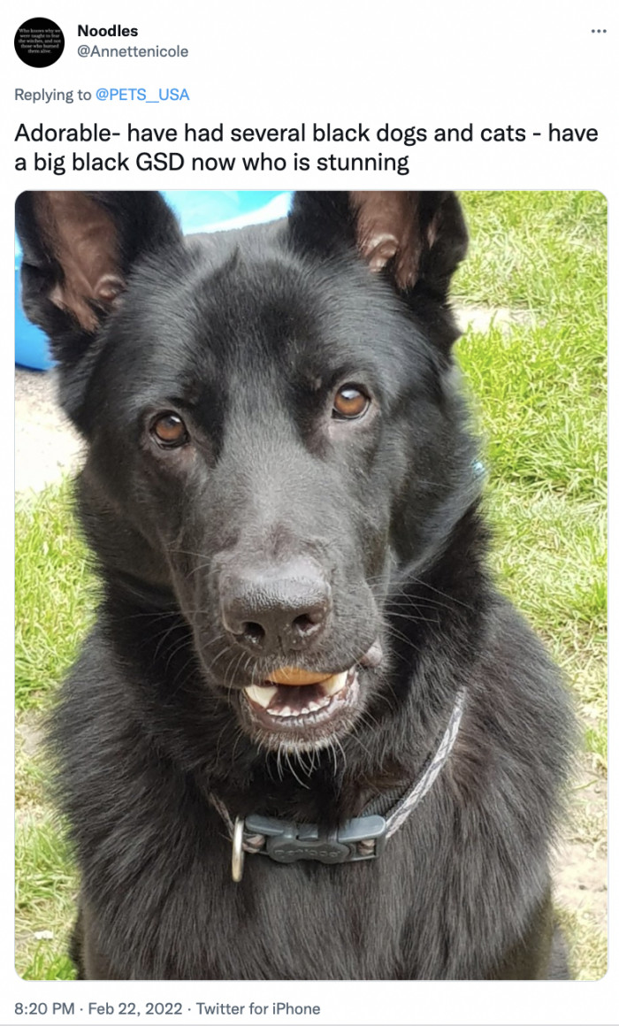 10. We respect a proud black dog lover