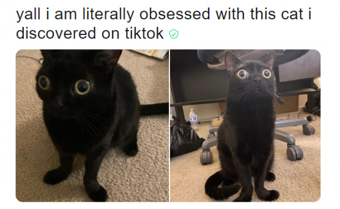 10. This person's reaction after discovering Bigfoot Jinx