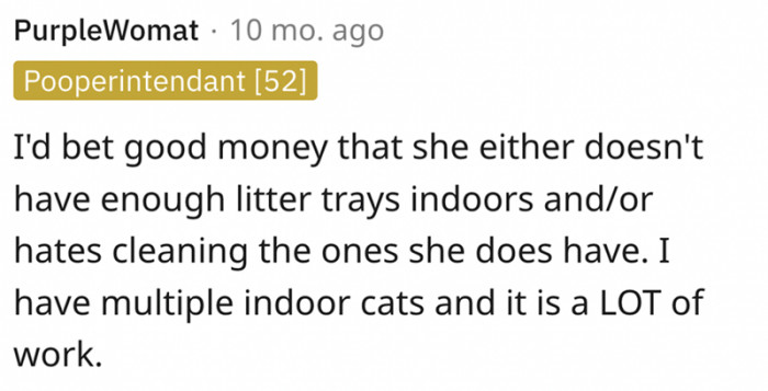7. Having five indoor cats is a lot of work. There is a lot of cleaning involved.