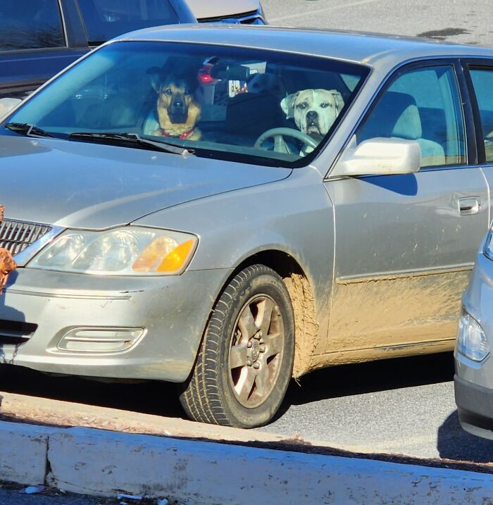 "These Fellas Look Highly Suspicious, Also The Car May Be Stolen. Not Sure If I Should Report It Or Not"