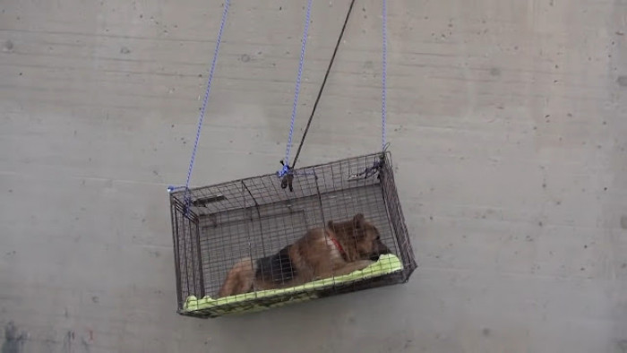 It All Works Out in the End