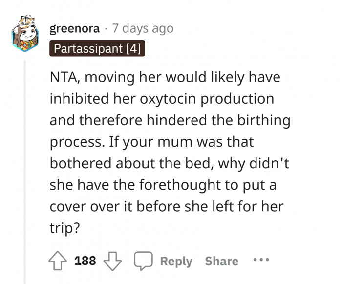 #4 The level of comfort given to the birthing dog.