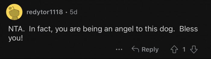 OP is the only one making sure the dog stays healthy.