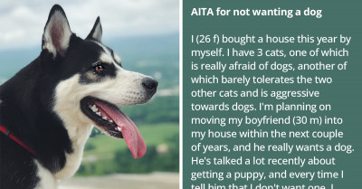 Problem Arises As Cat Lady Refuses Her Boyfriend Who Owns A Dog To Move In With Her