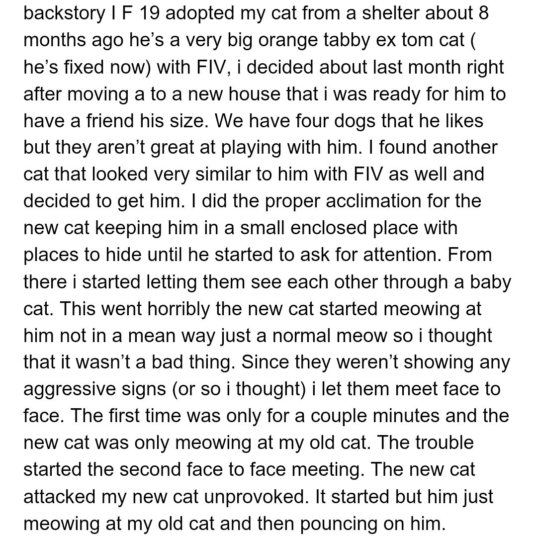 Here's the background of the story