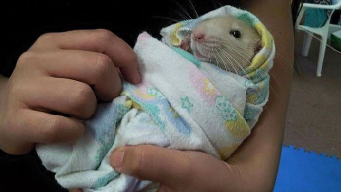 25. It feels good to hold a little one in my arms