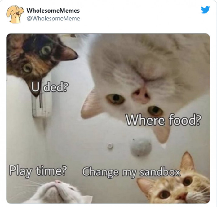 16. It's morning already, and we all have our own different needs that we need to take care of