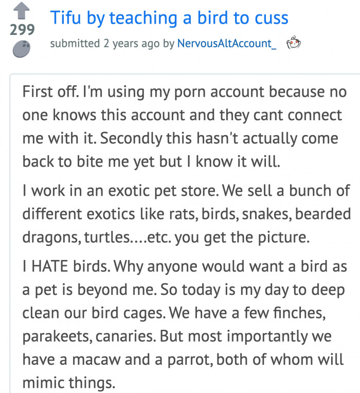 The original poster (OP) isn't a fan of birds.