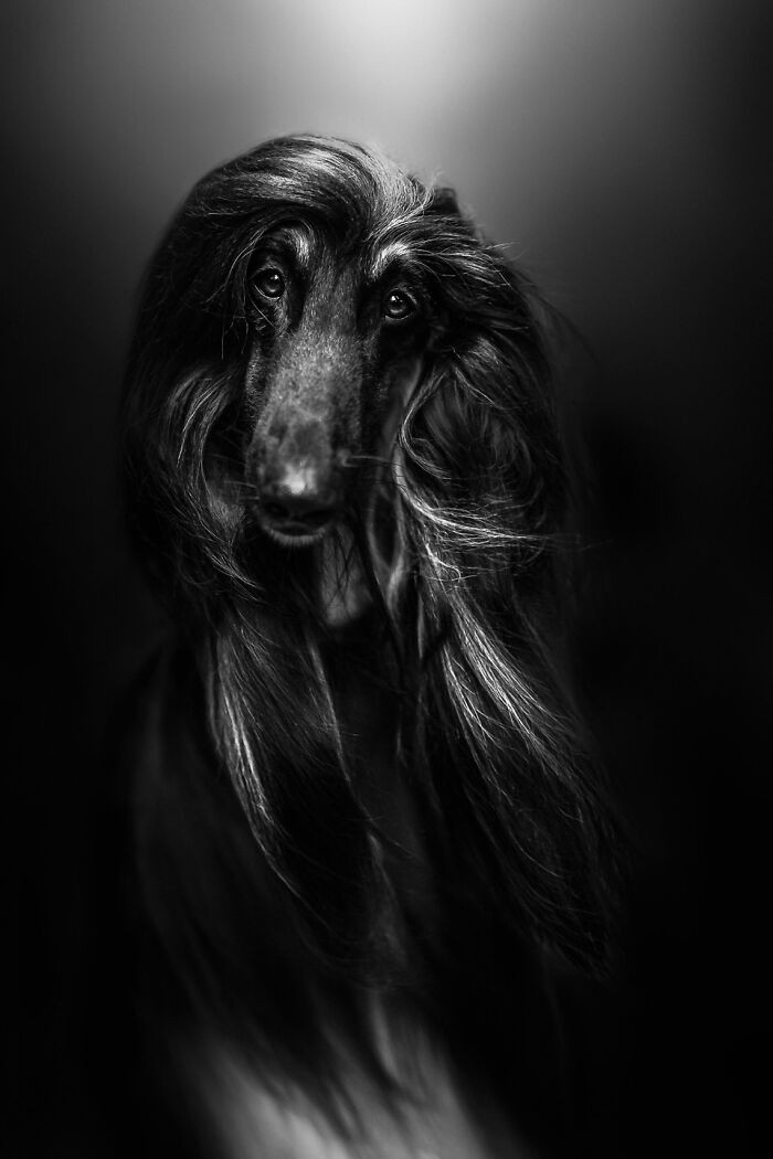 Photo By Alicja Zmysłowska