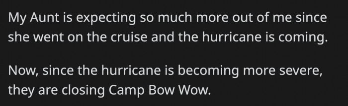 Even with how overloaded OP is already, her aunt still expects her to be available for favors