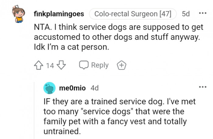 7. Service Dogs Getting Accustomed to Other Dogs