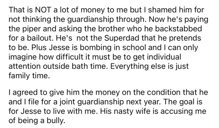 OP shamed their brother for not thinking the guardianship through and agreed to give him the loan under one condition.