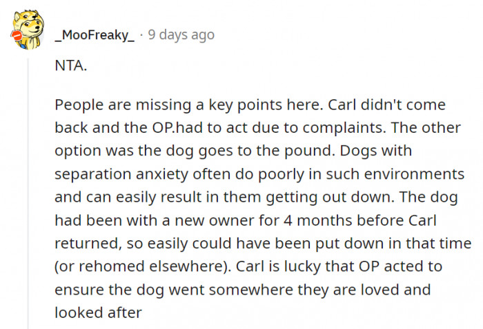7. OP did everything they could to ensure that the dog was receiving the best care, even if it wasn't their own dog