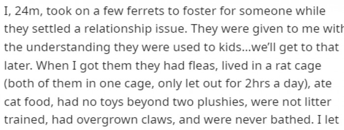 The ferrets were in terrible condition when OP took them in, and it later became clear that they were, in fact, not good with kids.