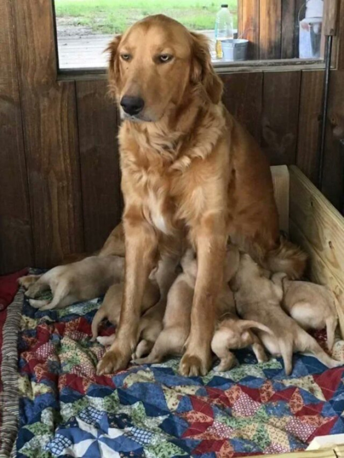 Another friend with the same trouble: