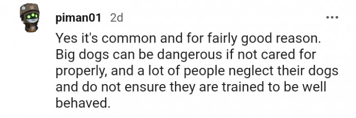 12. They are trained to be well-behaved
