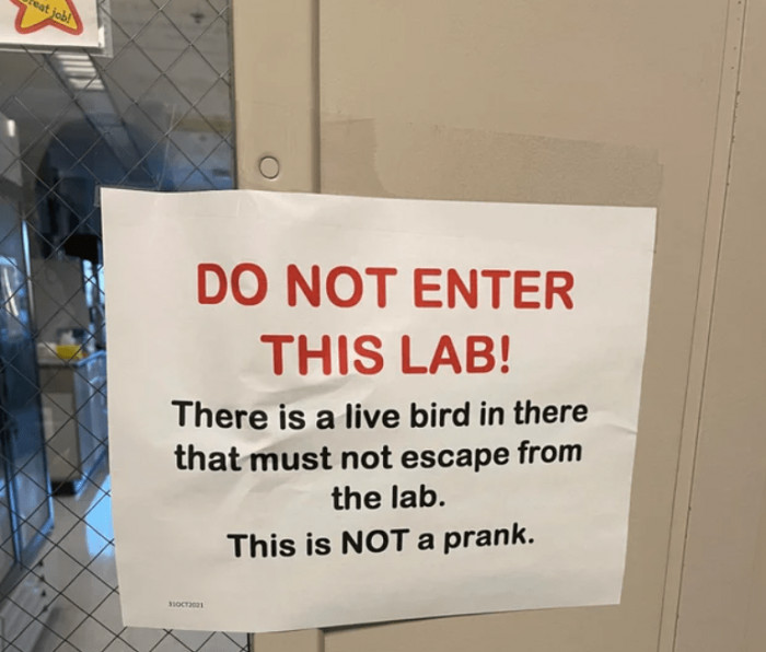 24. Lab Experiment Bird