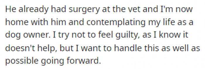The dog owner couldn't help but feel guilty about what happened and started questioning his life as a dog owner.