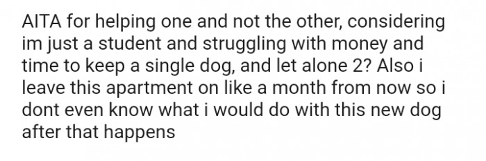 The OP doesn't even know what he would do with this new dog as he's moving out soon