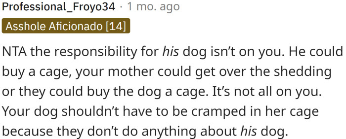 The responsibility for the dog is not on OP