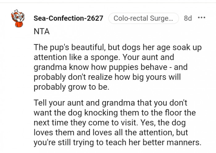 Dogs her age soak up attention like a sponge