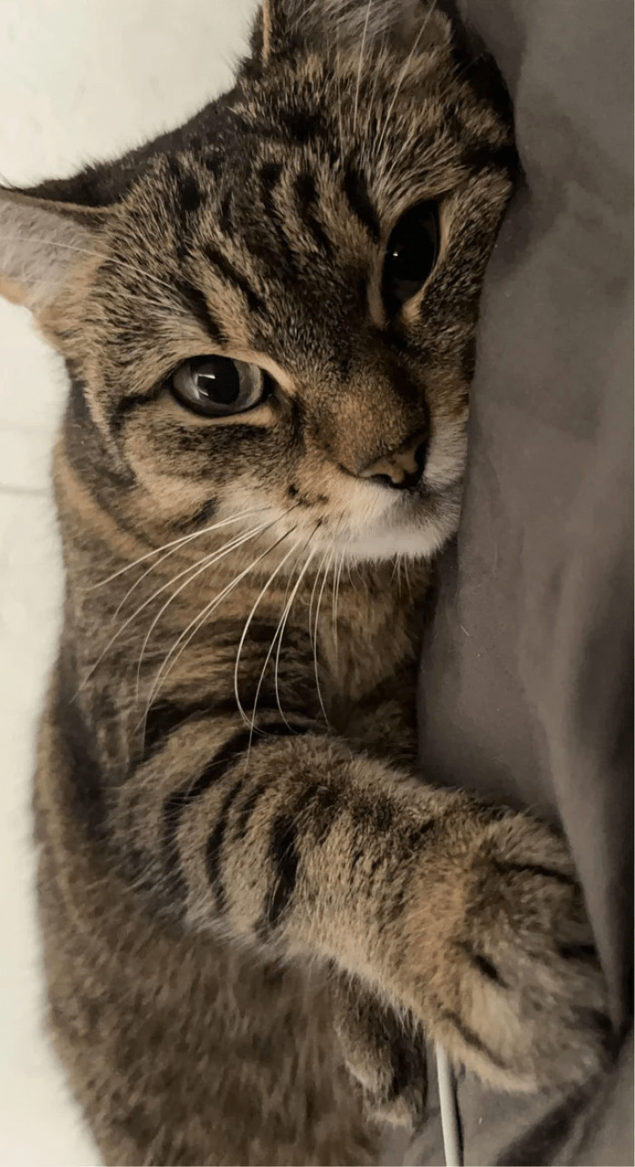 15. A human's shoulder to lean on.