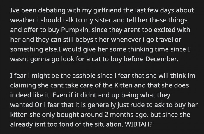 OP and her girlfriend have been debating whether she should ask Kristine if she can buy Pumpkin. She's afraid that asking the question could potentially hurt her sister's feelings.