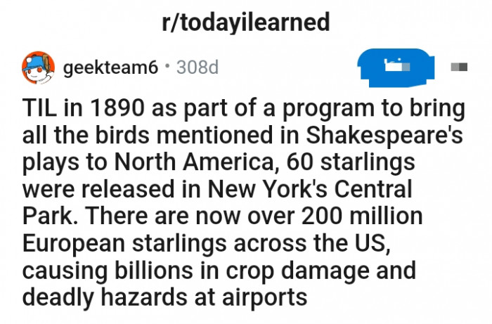 Meet u/geekteam6, a redditor who has an interesting piece of information to share with the TodayILearned subreddit community