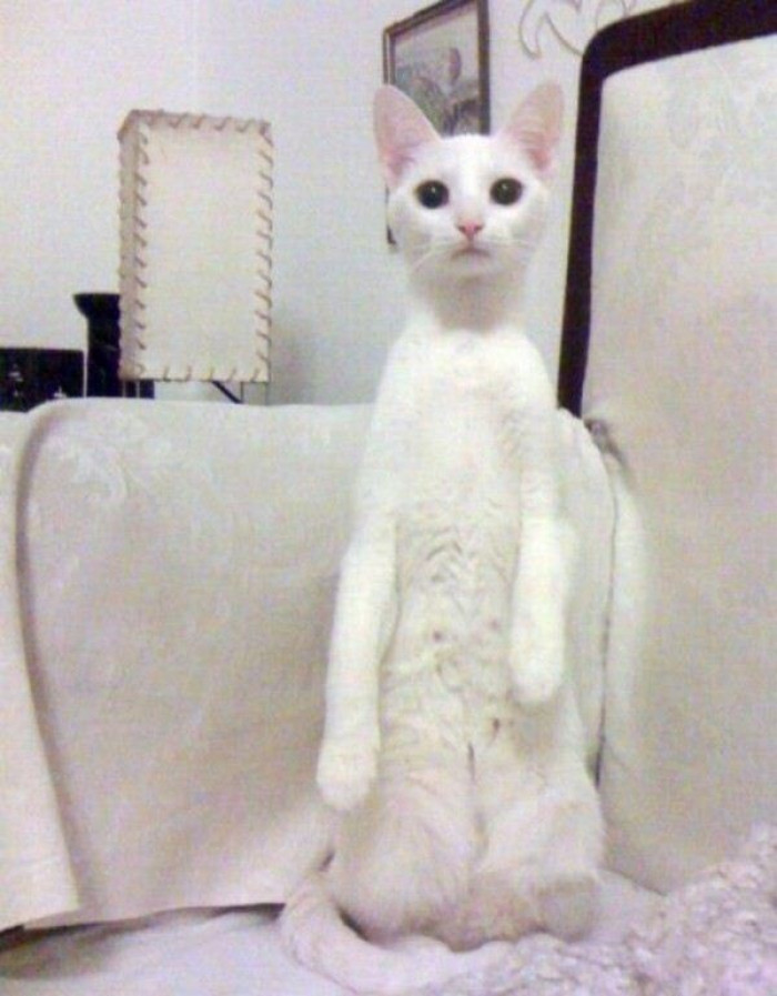 5. I'll just keep looking at you until you do the needful