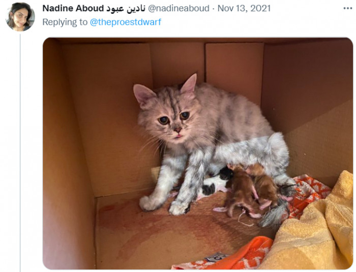 "I just need some sleep."