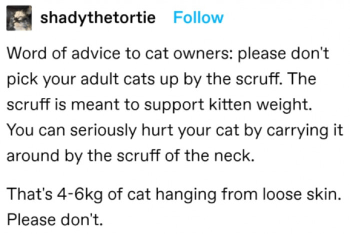 1. One Tumblr user said: