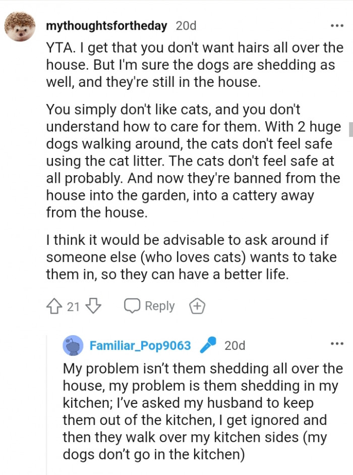 You simply don't like cats