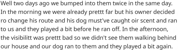 These meetings became regular, which annoyed the other dog owner.
