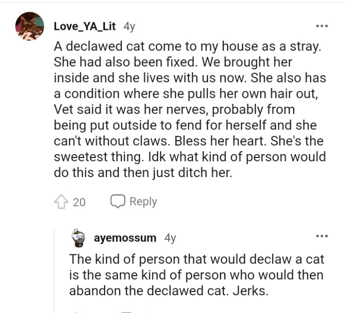 This Redditor Doesn't Know What Kind of Person Would Declaw a Cat