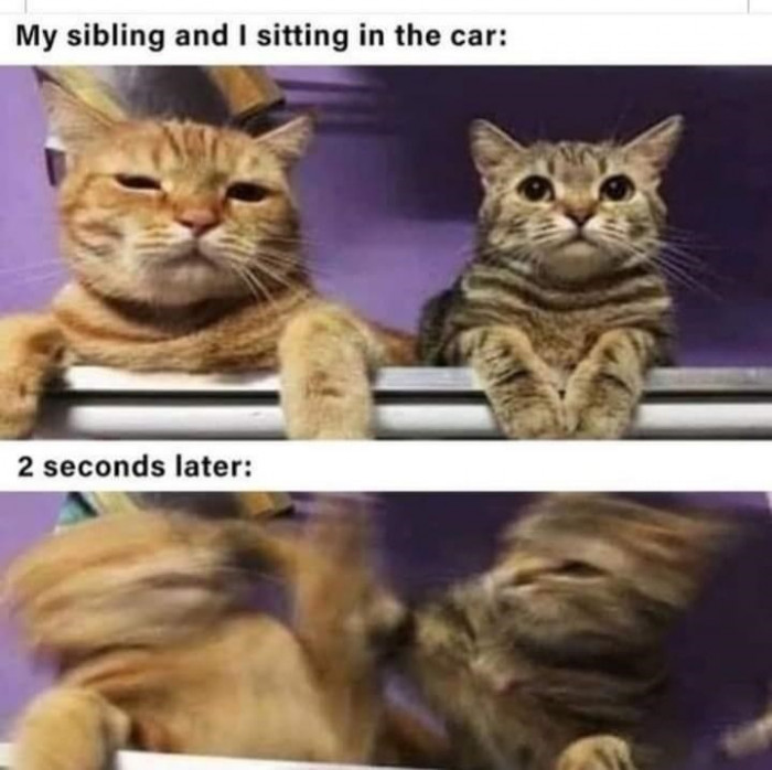 30. I can so relate to this