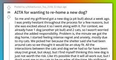 Redditor Wants To Rehome New Dog After Just A Week, People Online Advise Them To Give It More Time