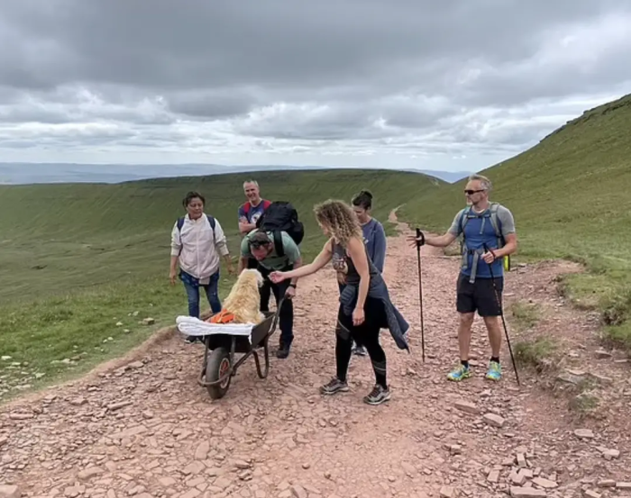 Despite being notably frail during the journey, Monty took delight in the affection and attention showered upon him by everyone they encountered!