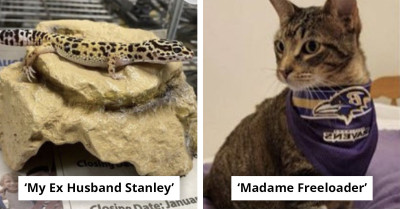 These Pet Names Are So Creative They Put Everyone Else’s to Shame