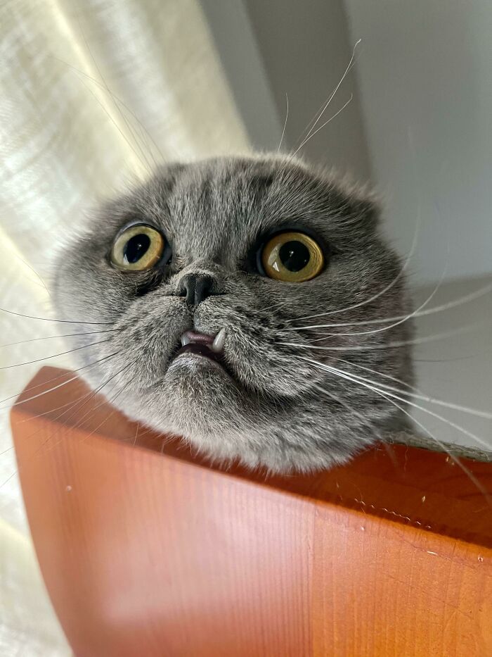 36. She’s just out here being her intergalactic self.