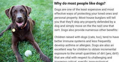 "Why Do People Like Dogs?" Has Got Individuals On Quora Sharing Fascinating And Funny Answers