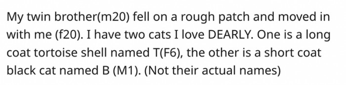 2. OP Has a Twin Brother Who Is Living With Her During His Rough Patch. OP Has Two Cats and Is Living With a Partner.