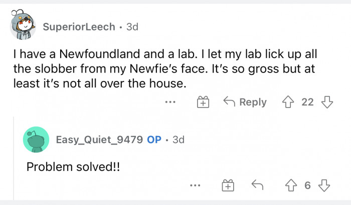 You have to use what you can to your advantage.