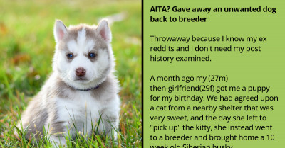 Woman Gifts Her Boyfriend A Husky Instead Of A Cat Because She Feels It Would Make Him More Masculine