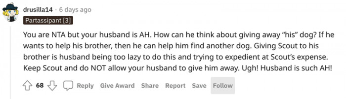 Giving Scout to his brother is husband being too lazy