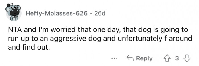 One day he might mess with the wrong dog.