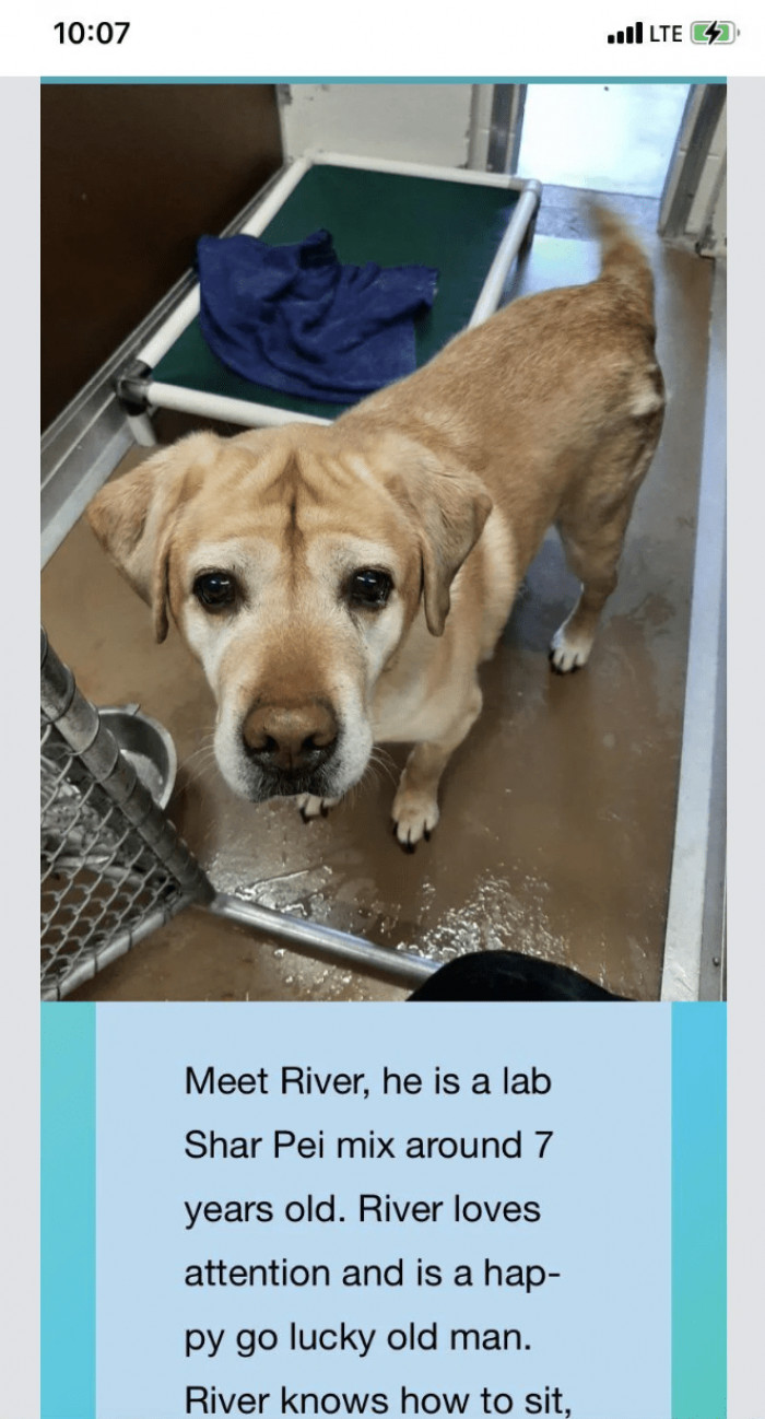 13. Meet River: